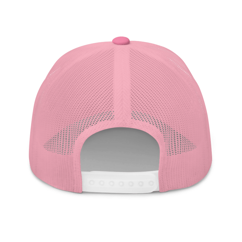 Bogosplit--IHER Hustler Hat Back