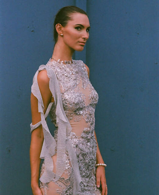 Hand Embroidered Silver Gown