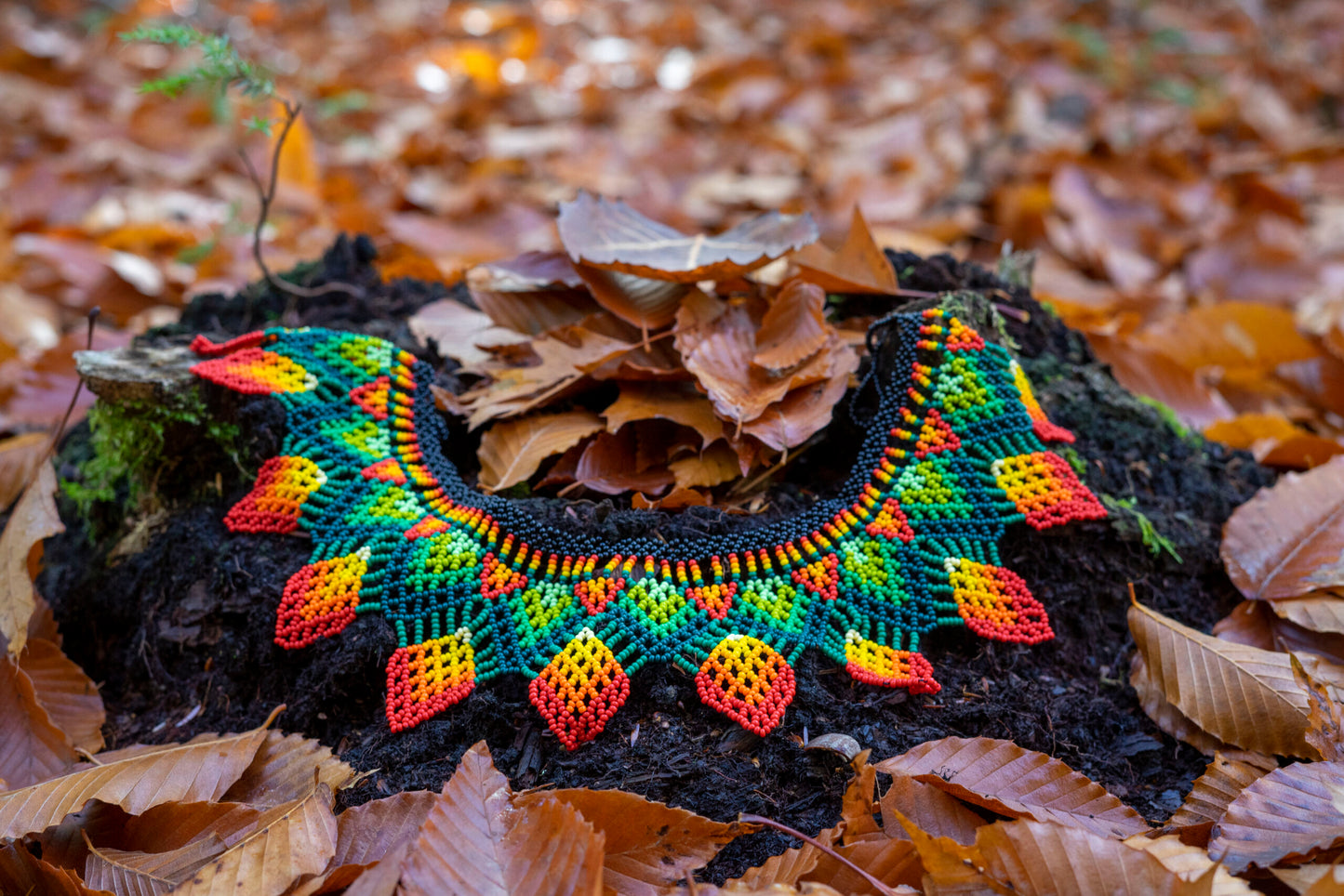 EMBERA CHAMI