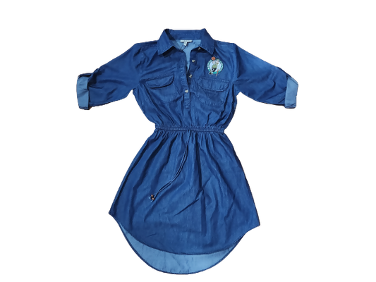 Blue Celtics Jean Dress