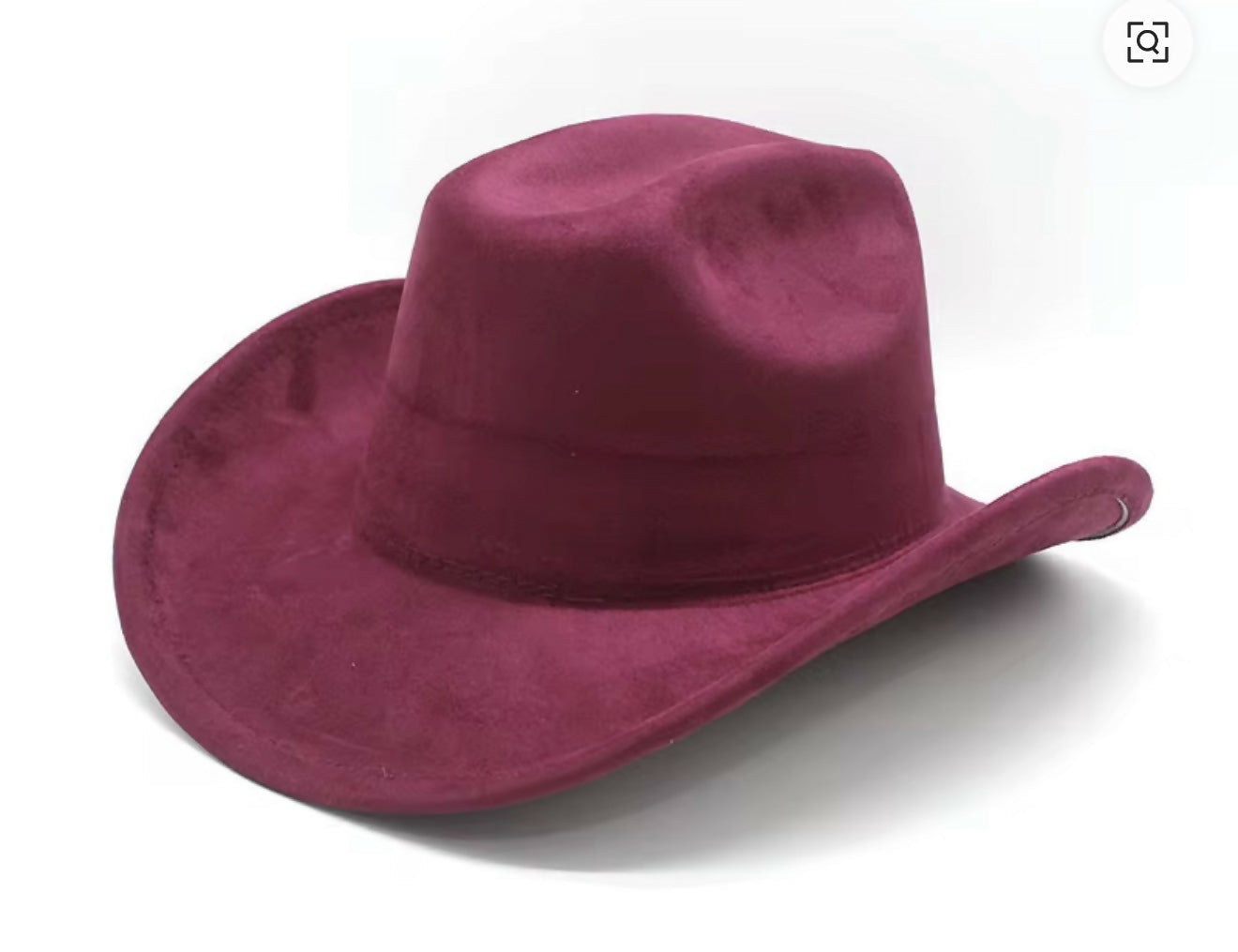 Felt Western Hat