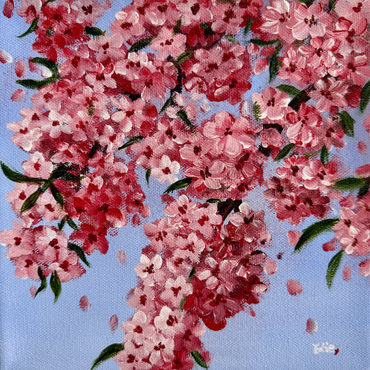 Cherry Blossom