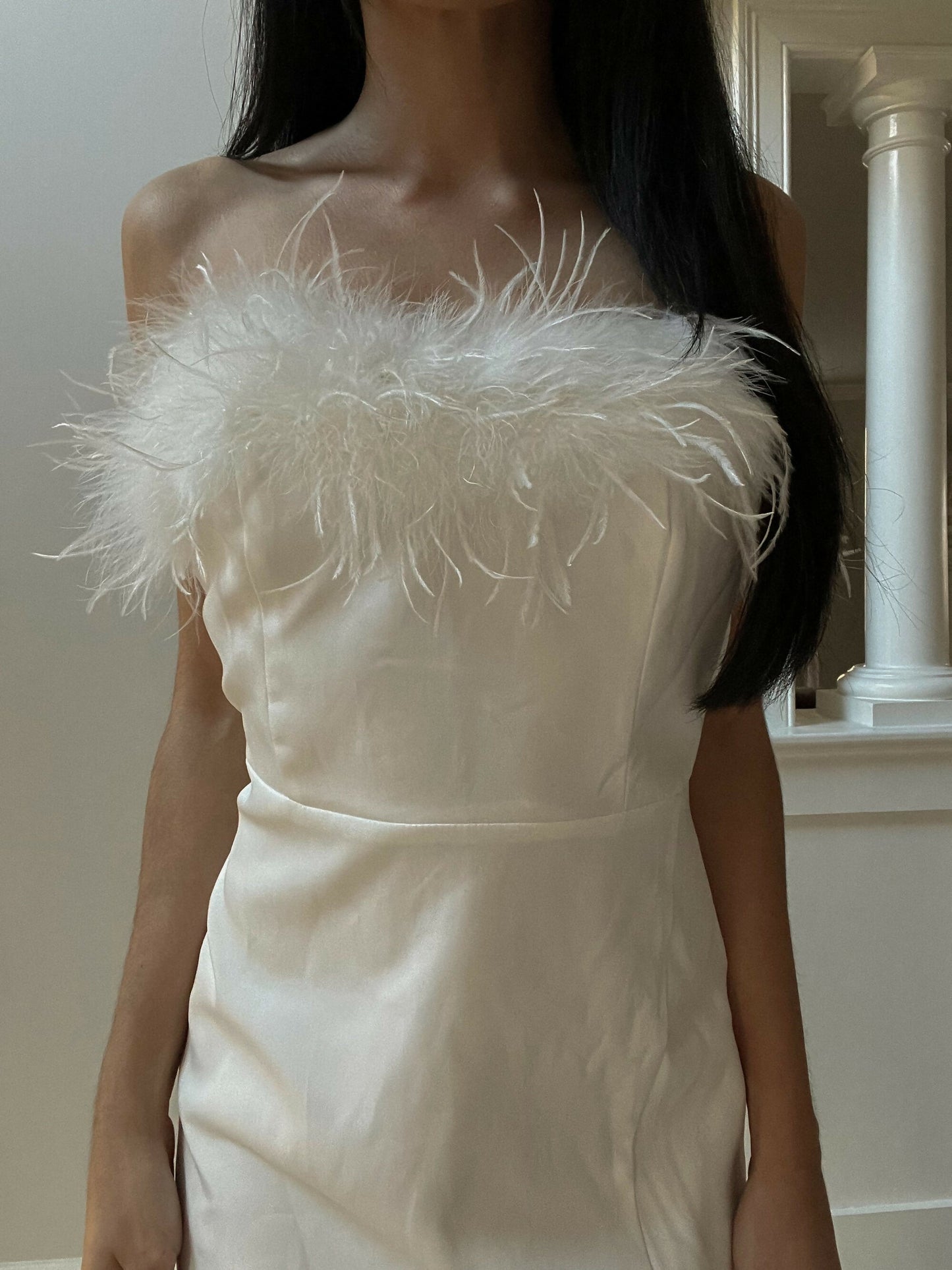 Cassandra Feather Dress