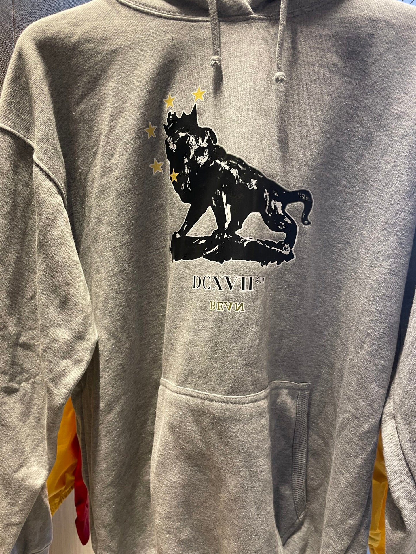 King leo hoodie in Grey