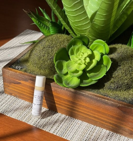succulent lip balm "Da Balm"