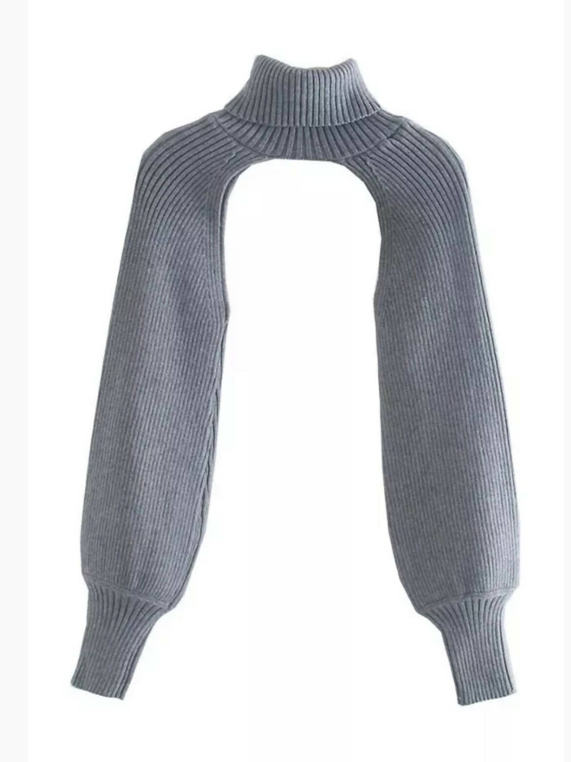 Crop Turtleneck Sleeve Sweater
